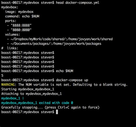 docker compose command example.